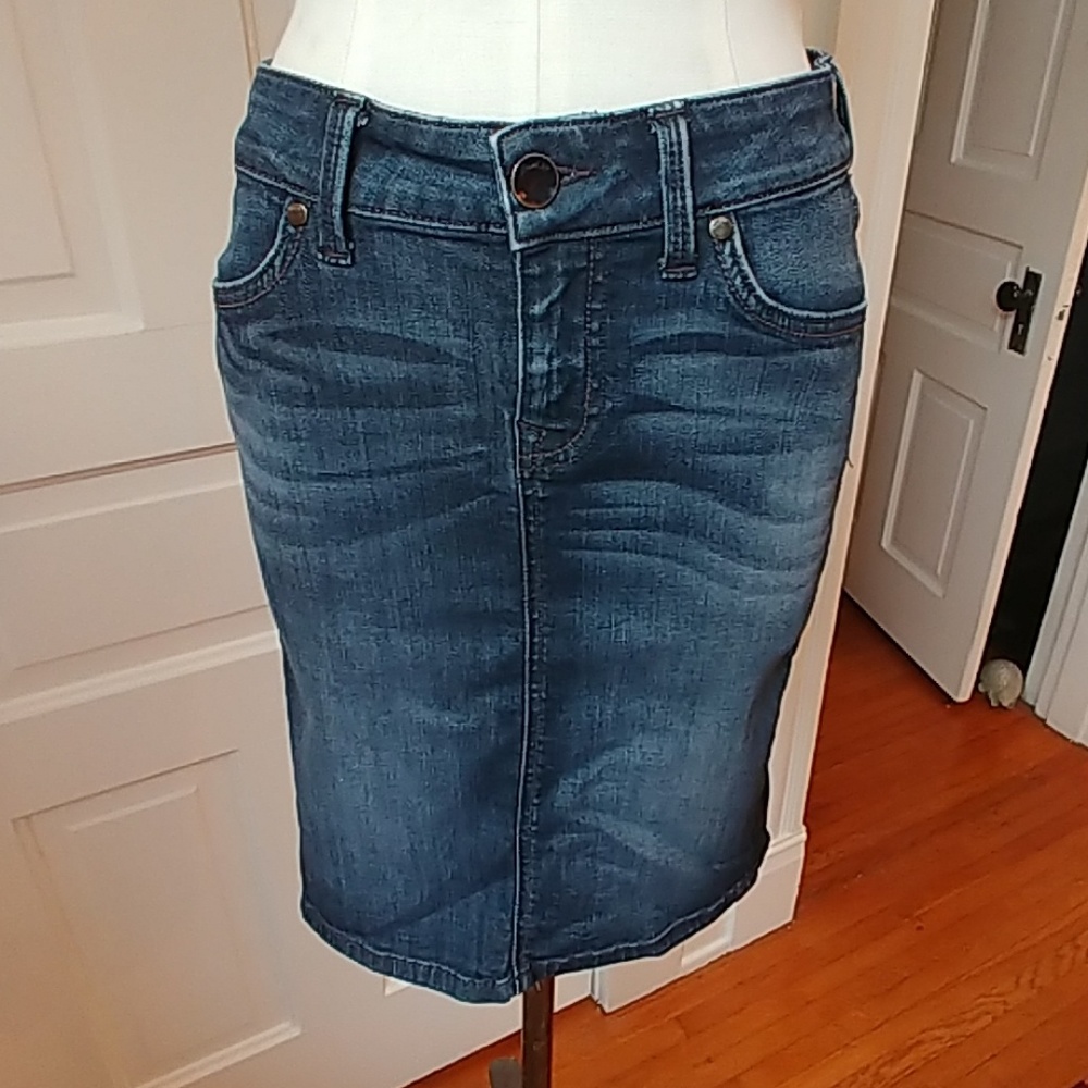 Anthropologie Level 99 stretch denim skirt 26"